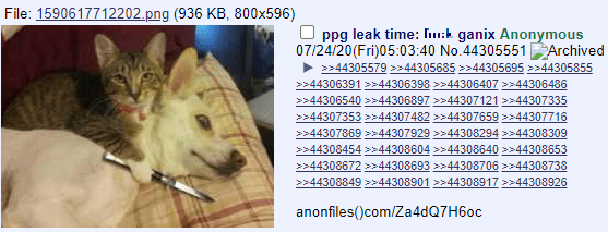 A screenshot from 4Chan detailing a Nintendo data leak.