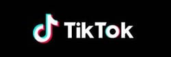 TikTok logo