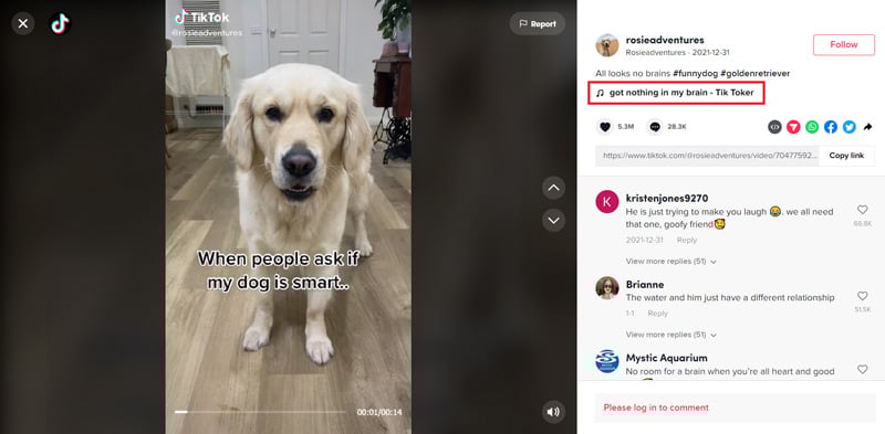 TikTok audio search
